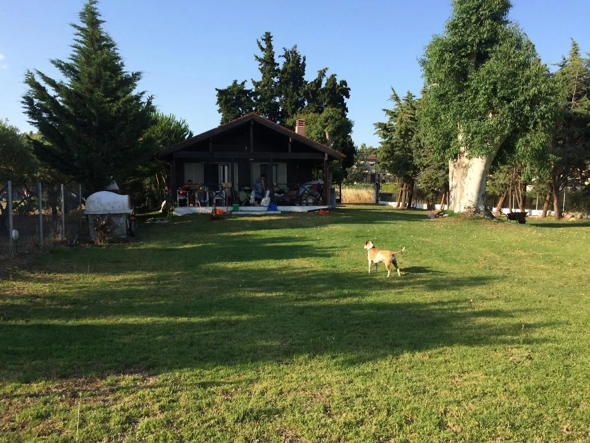 Beachfront Wooden House Villa Toroni Greece