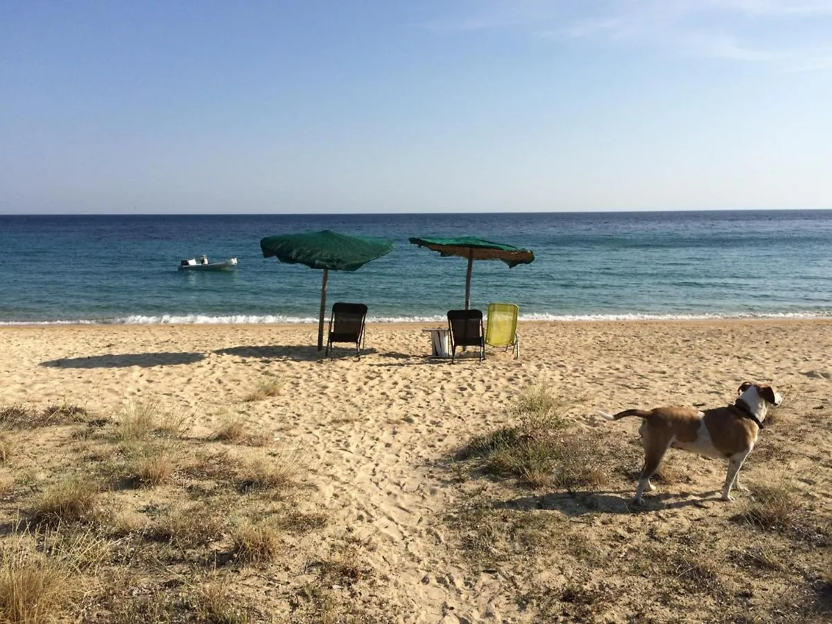 Beachfront Wooden House location